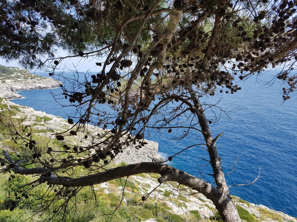 Villa Bocca del Pozzo Gagliano del Capo Esterno foto