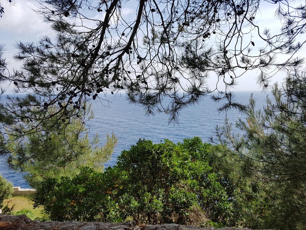 Villa Bocca del Pozzo Gagliano del Capo Esterno foto