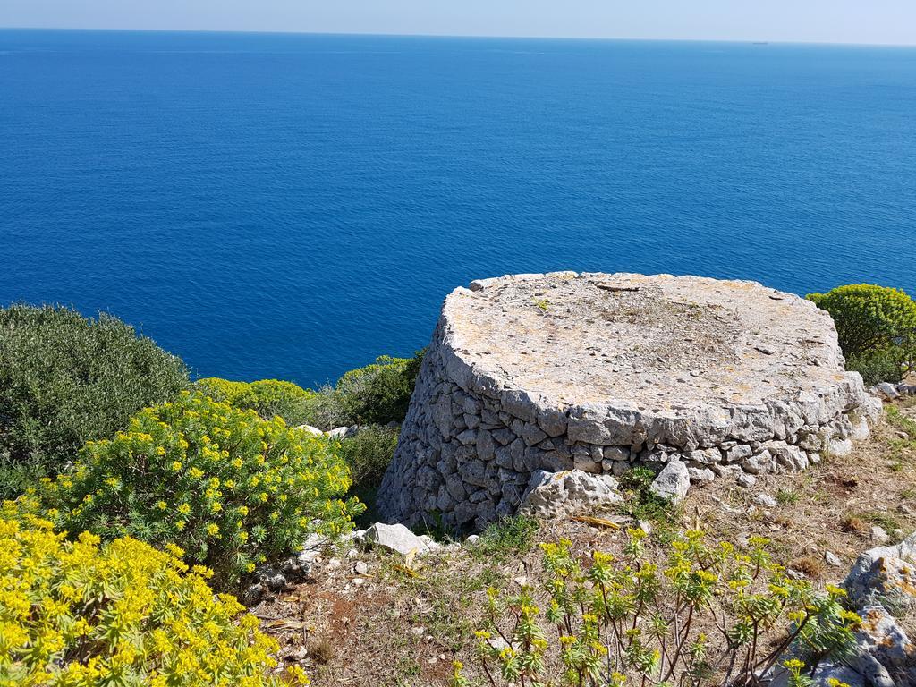 Villa Bocca del Pozzo Gagliano del Capo Esterno foto
