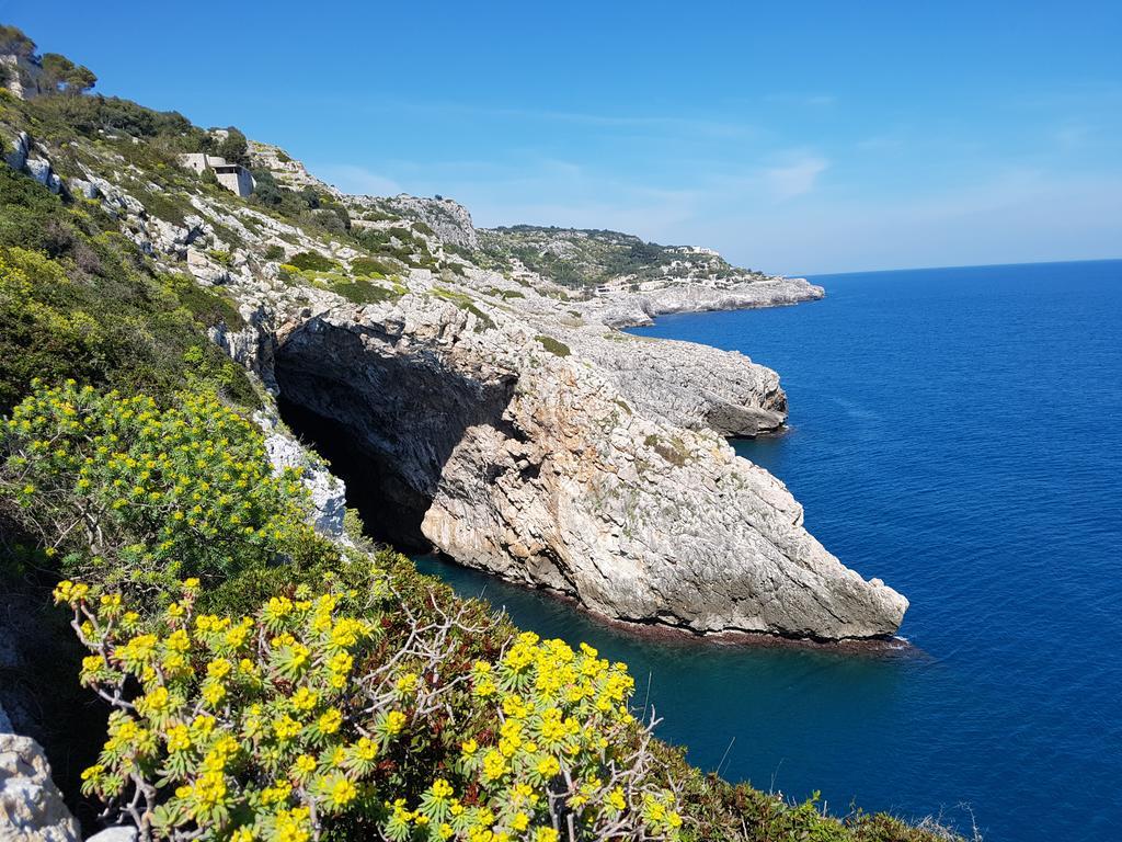 Villa Bocca del Pozzo Gagliano del Capo Esterno foto