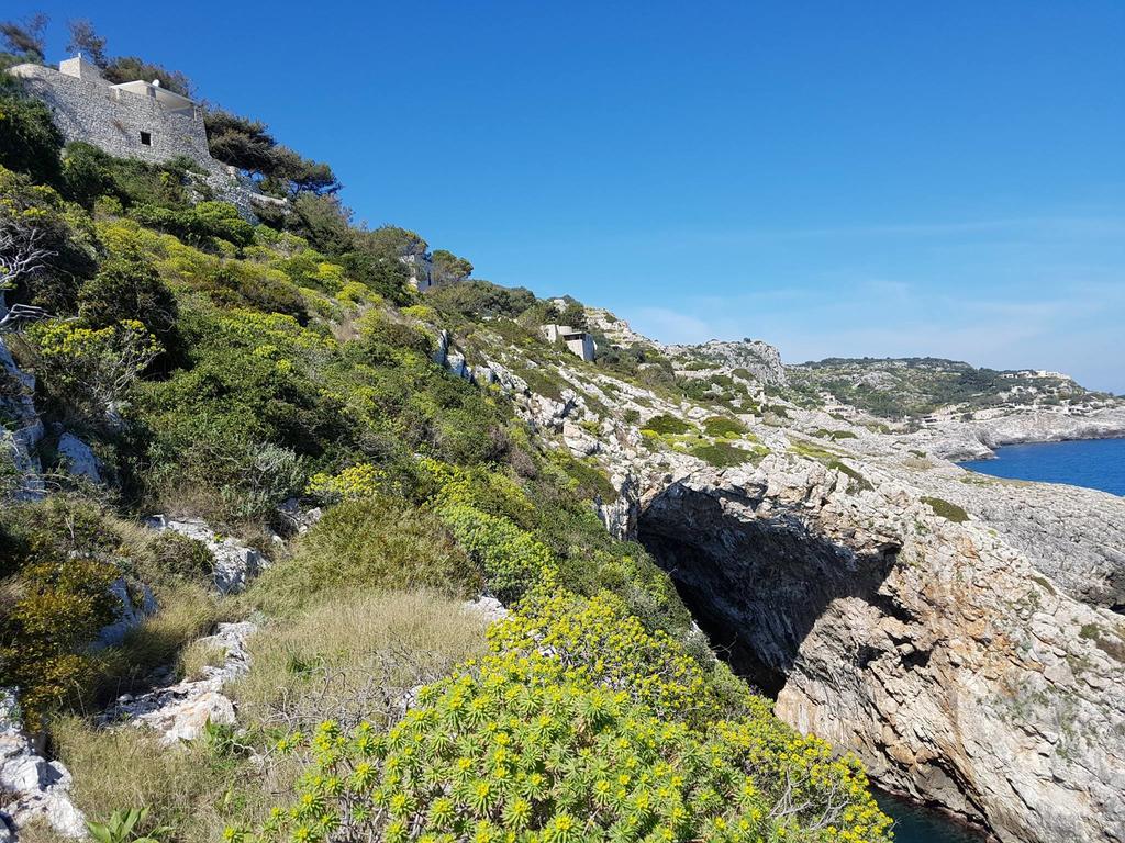 Villa Bocca del Pozzo Gagliano del Capo Esterno foto