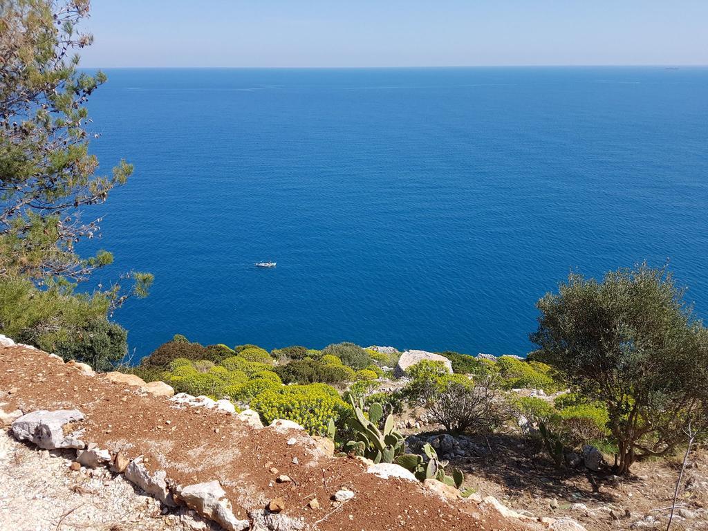 Villa Bocca del Pozzo Gagliano del Capo Esterno foto
