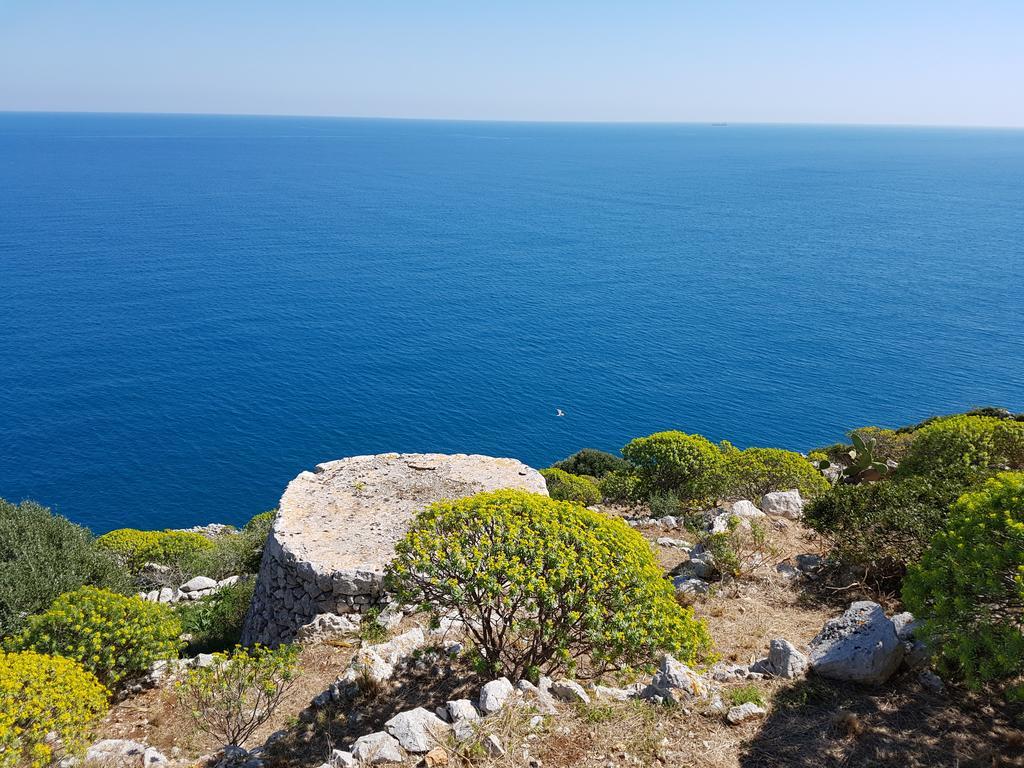 Villa Bocca del Pozzo Gagliano del Capo Esterno foto