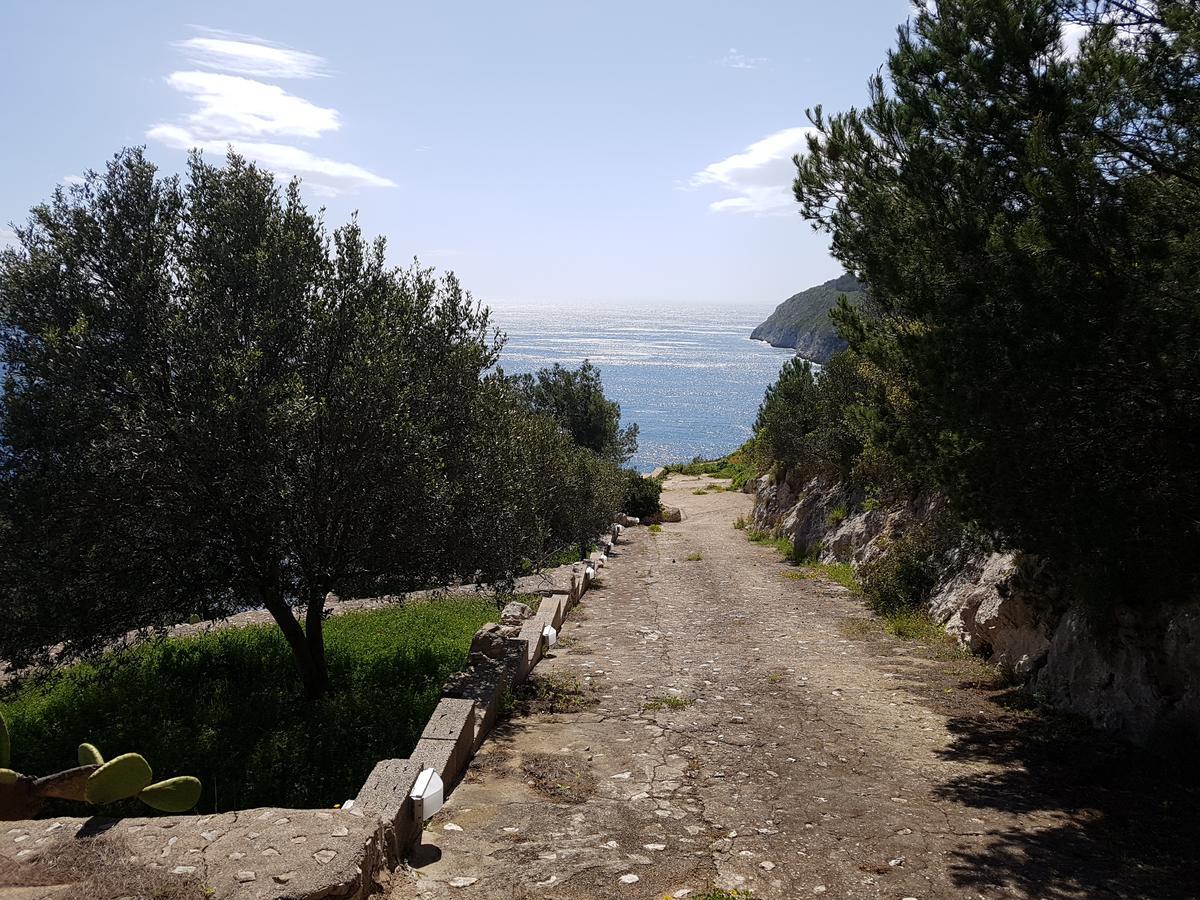 Villa Bocca del Pozzo Gagliano del Capo Esterno foto